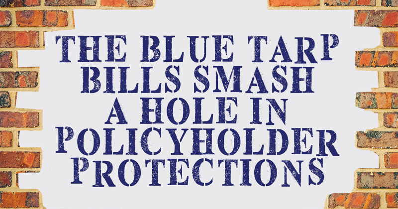 Blue Tarp Brick image